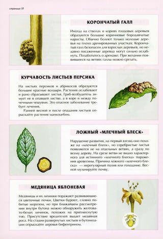 хессайон д.г.   все о болезнях и вредителях растений - 2007