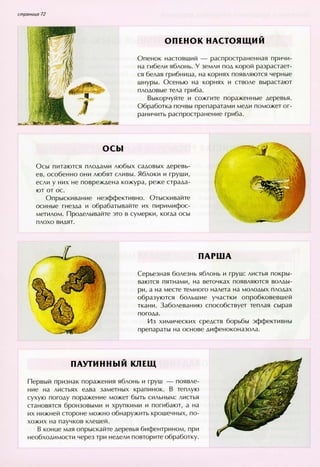 хессайон д.г.   все о болезнях и вредителях растений - 2007