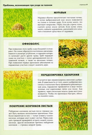 хессайон д.г.   все о болезнях и вредителях растений - 2007