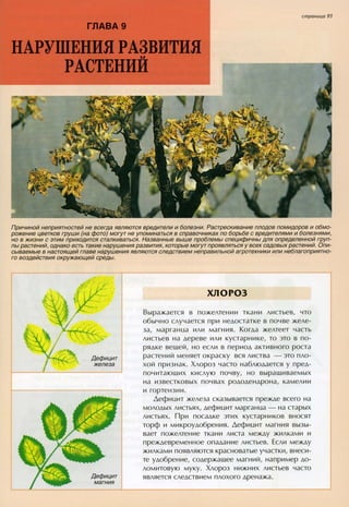 хессайон д.г.   все о болезнях и вредителях растений - 2007