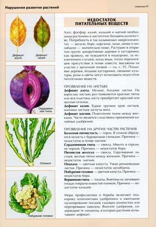 хессайон д.г.   все о болезнях и вредителях растений - 2007