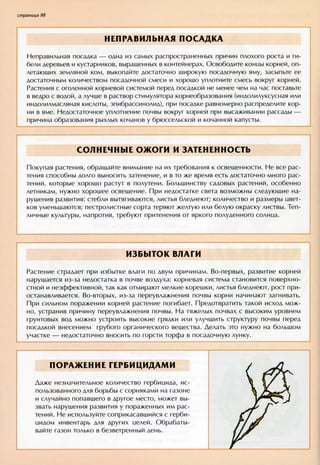 хессайон д.г.   все о болезнях и вредителях растений - 2007