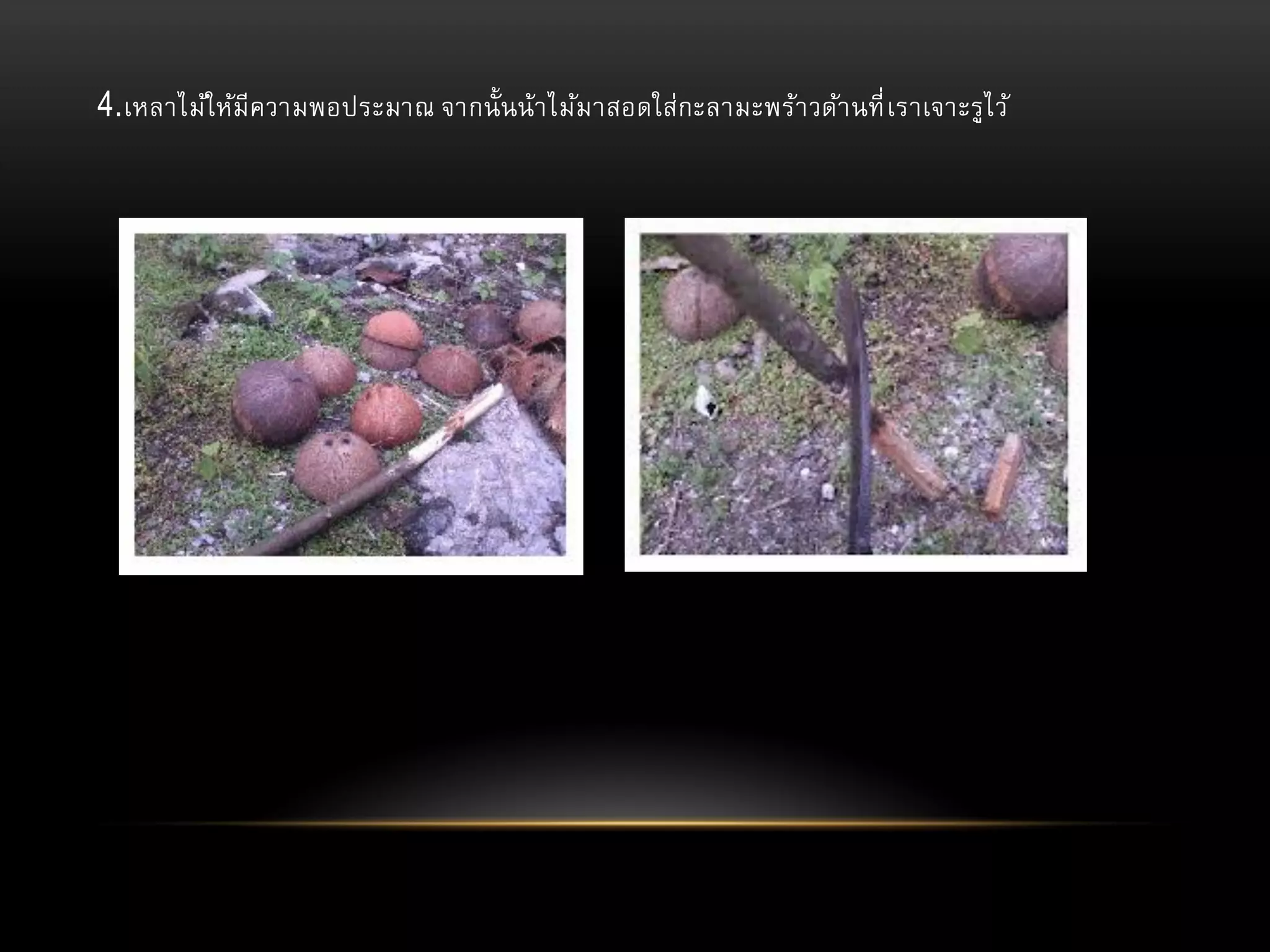 4.เหลาไม้ให้มีความพอประมาณ จากนั้ นน้า ไม้มาสอดใส่กะลามะพร้า วด้า นที่ เราเจาะรูไ ว้

 