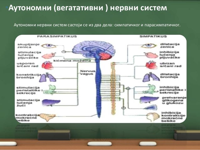 болести нервног система Давид Крповић