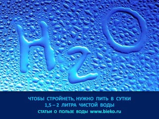 ЧТОБЫ СТРОЙНЕТЬ, НУЖНО ПИТЬ В СУТКИ
1,5 – 2 ЛИТРА ЧИСТОЙ ВОДЫ
СТАТЬИ О ПОЛЬЗЕ ВОДЫ www.bieko.ru

 