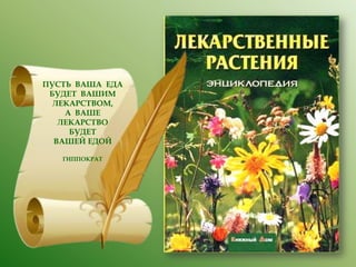 ПУСТЬ ВАША ЕДА
БУДЕТ ВАШИМ
ЛЕКАРСТВОМ,
А ВАШЕ
ЛЕКАРСТВО
БУДЕТ
ВАШЕЙ ЕДОЙ
ГИППОКРАТ

 