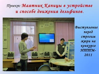Проект: Маятник Капицы в устройстве

и способе движения дельфинов .
Выступление
перед
строгим
жюри на
конкурсе
НТТМ2011

 