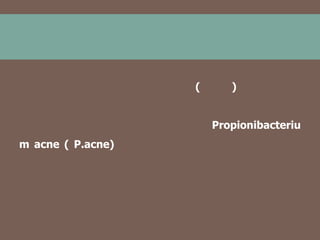 (

)
Propionibacteriu

m acne ( P.acne)

 