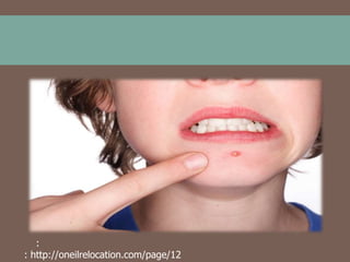 :
: http://oneilrelocation.com/page/12

 