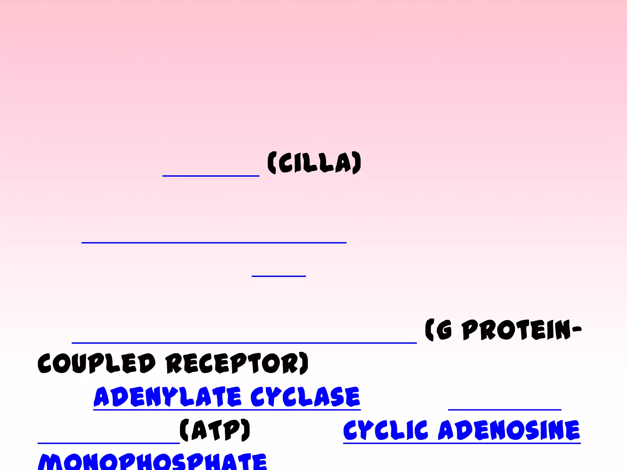 (cilla)

(G protein-

coupled receptor)
adenylate cyclase
(ATP)
Cyclic adenosine

 