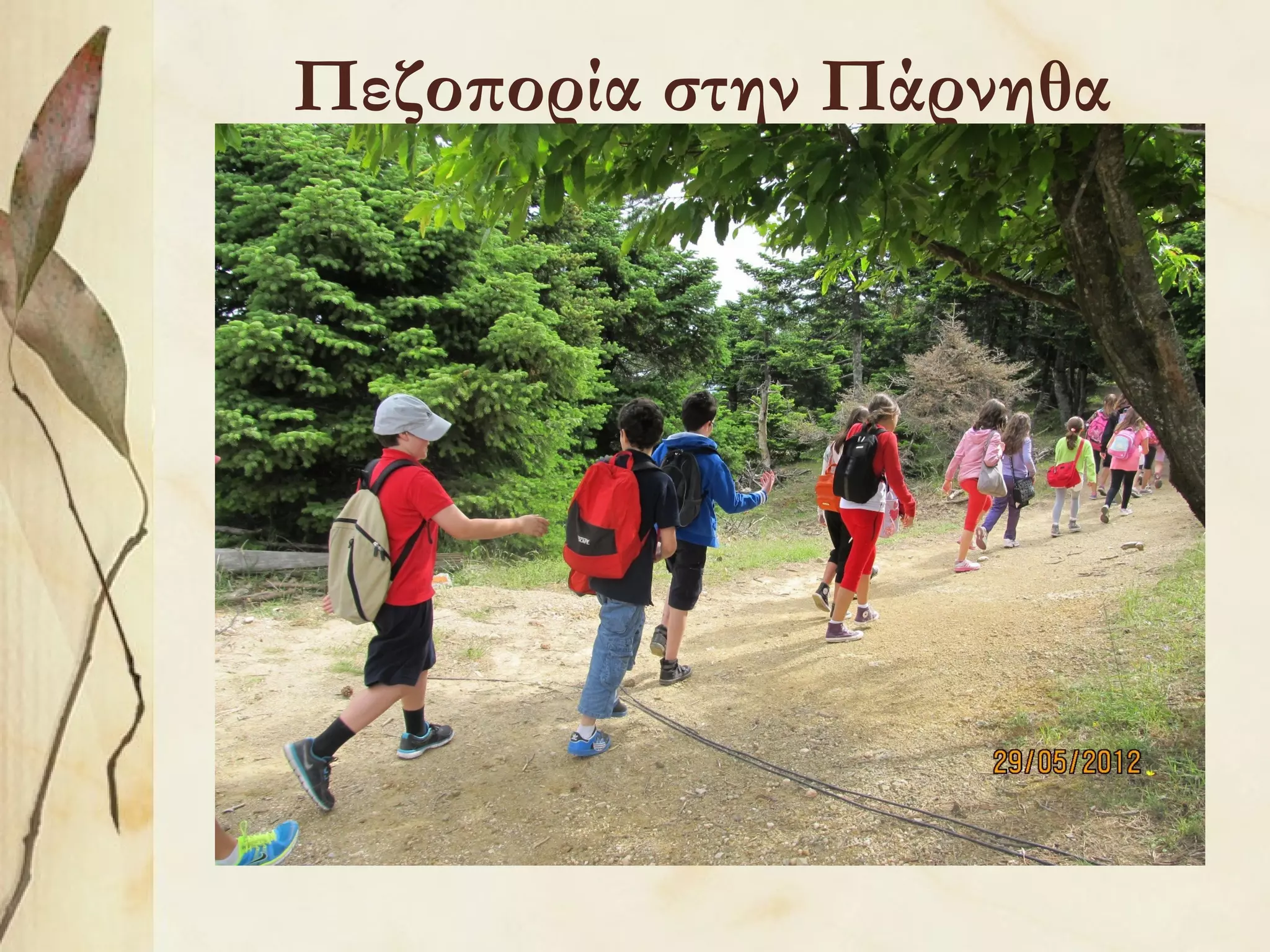 Πεζοπορία στην Πάρνηθα

 