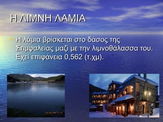 Η ΛΙΜΝΗ ΛΑΜΙΑ
• Η λάμια βρίσκεται στο δάσος της

Στιμφαλείας μαζί με την λιμνοθάλασσα του.
Εχεί επιφάνεια 0,562 (τ.χμ).

 