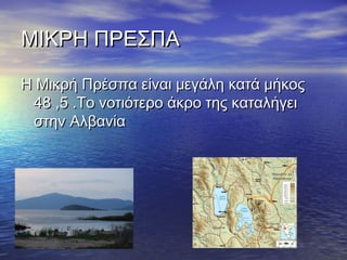 ΜΙΚΡΗ ΠΡΕΣΠΑ
Η Μικρή Πρέσπα είναι μεγάλη κατά μήκος
48 ,5 .Το νοτιότερο άκρο της καταλήγει
στην Αλβανία

 