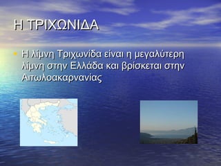 Η ΤΡΙΧΩΝΙΔΑ
• Η λίμνη Τριχωνίδα είναι η μεγαλύτερη

λίμνη στην Ελλάδα και βρίσκεται στην
Αιτωλοακαρνανίας

 