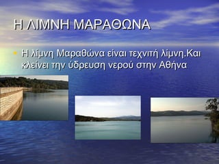 Η ΛΙΜΝΗ ΜΑΡΑΘΩΝΑ
• Η λίμνη Μαραθώνα είναι τεχνιτή λίμνη.Και
κλείνει την ύδρευση νερού στην Αθήνα

 