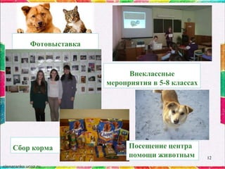 Фотовыставка

Внеклассные
мероприятия в 5-8 классах

Сбор корма

Посещение центра
помощи животным

12

 