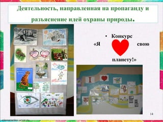 Деятельность, направленная на пропаганду и

разъяснение идей охраны природы.
• Конкурс
«Я

свою

планету!»

14

 
