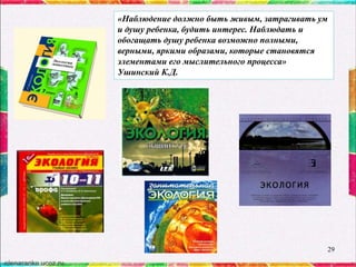 «Наблюдение должно быть живым, затрагивать ум
и душу ребенка, будить интерес. Наблюдать и
обогащать душу ребенка возможно полными,
верными, яркими образами, которые становятся
элементами его мыслительного процесса»
Ушинский К.Д.

29

 