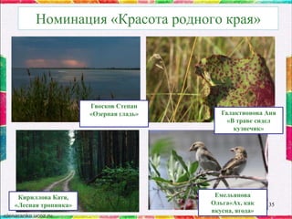 Номинация «Красота родного края»

Гвосков Степан
«Озерная гладь»

Кириллова Катя,
«Лесная тропинка»

Галактионова Аня
«В траве сидел
кузнечик»

Емельянова
Ольга«Ах, как
вкусна, ягода»

35

 