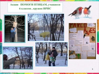 Акция ПОМОГИ ПТИЦАМ, учащиеся
6 классов , кружок ИРИС

8

 