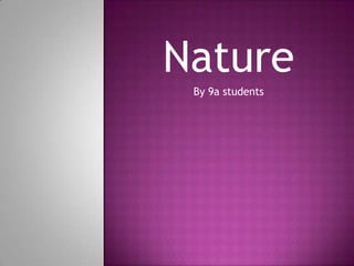 Nature
By 9a students

 