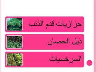 ‫استخدامات النباتات الوعائية الالبذرية‬

 