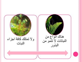 ‫هناك انواع من‬
‫النباتات ال تنمو من‬
‫البذور‬

‫وال تمتلك كافة اجزاء‬
‫النبات‬

 
