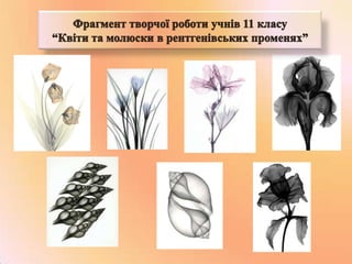 з досвіду роботи кисельової з.о.