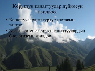 Коруктун канаттуулар дъйн=сън
изилд==.
• Канаттуулардын търдък составын
тактоо.
• Кызыл китепке кирген канаттуулардын
биологиясын изилд==.

 