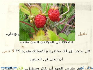 ‫تخيل أنك شجرة لها أغصان وفرو ع وأورا ق وثمار..‬
‫انطلقا من المجالت الست مثال..‬

‫هل ستجد أوراقك مخضرة و أغصانك مثمرة ؟؟ ل تنس‬
‫أن تبحث في الجذور.‬

‫سقاف . كوم‬
‫فكر كيف تشاء.. المهم أن تفكر وتنطلق.. فكر‬

‫‪www.saqaf.com‬‬
‫عالميا ..‬

 