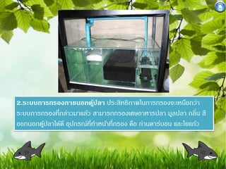 2.ระบบการกรองภายนอกตปลา ประสิทธิภาพในการกรองจะเหนือกว่า
ู้
ระบบการกรองที่กล่าวมาแล้ว สามารถกรองเศษอาหารปลา มูลปลา กลิ่น สี
ออกนอกตูปลาได้ดี อุปกรณ์ที่ทาหน้าที่กรอง คือ ถ่านคาร์บอน และใยแก้ว
้

 