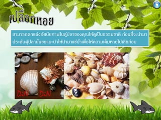 สามารถตกแต่งทัศนียภาพในตูปลาของคุณให้ดเู ป็ นธรรมชาติ ก่อนที่จะนามา
้
ประดับตูปลานันขอแนะนาให้นามาแช่นาเพื่อให้ความเค็มหายไปเสียก่อน
้
้
้

 