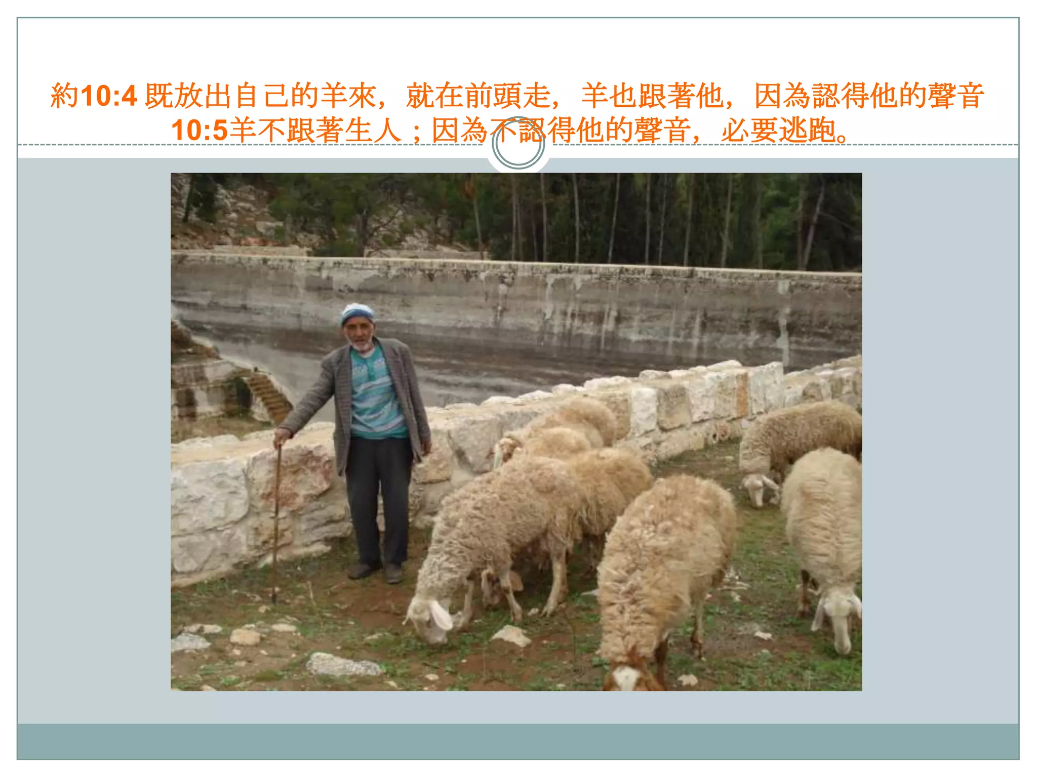 約10:4 既放出自己的羊來，就在前頭走，羊也跟著他，因為認得他的聲音
10:5羊不跟著生人；因為不認得他的聲音，必要逃跑。

 