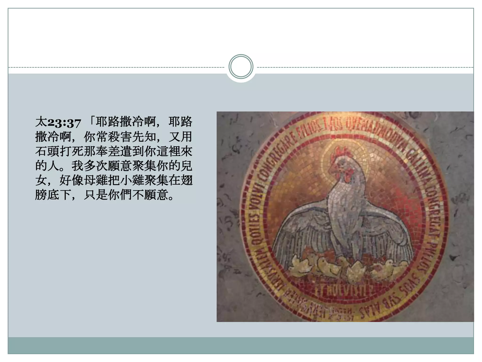 太23:37 「耶路撒冷啊，耶路
撒冷啊，你常殺害先知，又用
石頭打死那奉差遣到你這裡來
的人。我多次願意聚集你的兒
女，好像母雞把小雞聚集在翅
膀底下，只是你們不願意。

 