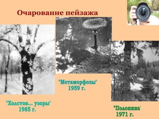 Очарование пейзажа

 