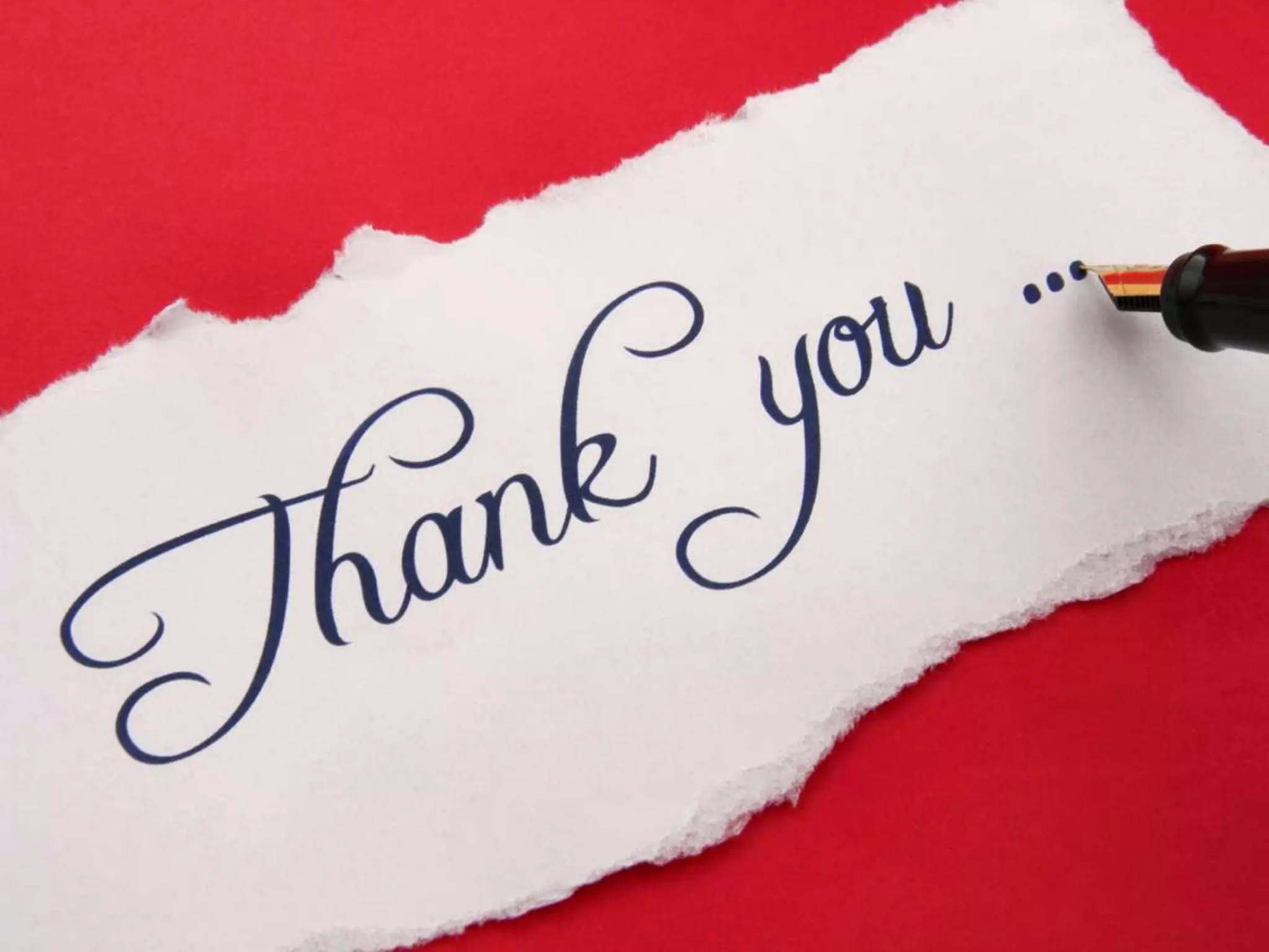 Thank You

 