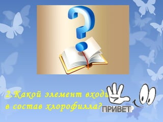 2.Какой элемент входит
в состав хлорофилла?

 