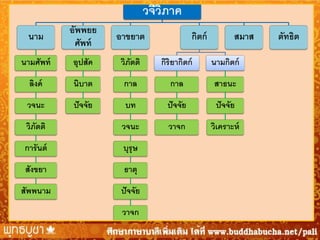 วจีวภาค
ิ
นาม

อัพพยย
ศัพท์

อาขยาต

นามศัพท์

อุปสัค

วิภตติ
ั

กิริยากิตก์

นามกิตก์

ลิงค์

นิบาต

กาล

กาล

สาธนะ

วจนะ

ปั จจัย

บท

ปั จจัย

ปั จจัย

วิภตติ
ั

วจนะ

วาจก

วิเคราะห์

การันต์

บุรุษ

สังขยา

ธาตุ

สัพพนาม

ปั จจัย
วาจก

กิตก์

สมาส

ตัทธิต

 