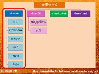 บาลีไวยกรณ์
วจีวภาค
ิ

อักขรวิธี

นาม

สมัญญาภิธาน

อัพพยยศัพท์

สนธิ

อาขยาต
กิตก์
สมาส
ตัทธิต

วากยสัมพันธ์

ฉันทลักษณ์

 