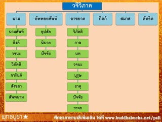 วจีวภาค
ิ
นาม

อัพพยยศัพท์

อาขยาต

นามศัพท์

อุปสัค

วิภตติ
ั

ลิงค์

นิบาต

กาล

วจนะ

ปั จจัย

บท

วิภตติ
ั

วจนะ

การันต์

บุรุษ

สังขยา

ธาตุ

สัพพนาม

ปั จจัย
วาจก

กิตก์

สมาส

ตัทธิต

 