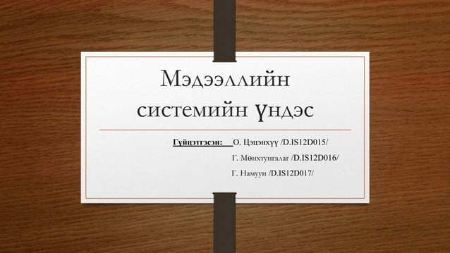 мэдээллийн системийн үндэс | PPT