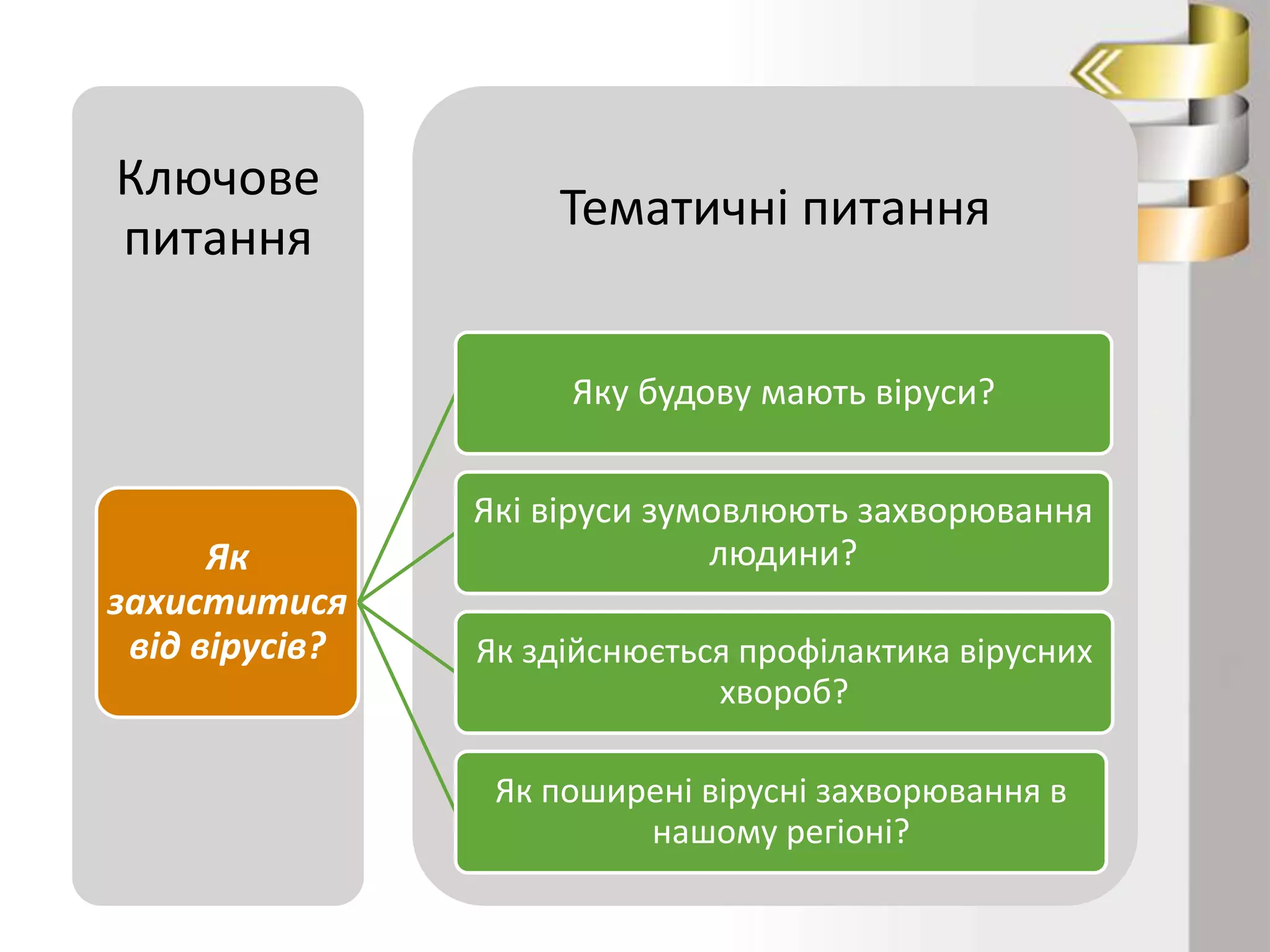 Ключове
питання

Тематичні питання

Яку будову мають віруси?

Як
захиститися
від вірусів?

Які віруси зумовлюють захворювання
людини?
Як здійснюється профілактика вірусних
хвороб?

Як поширені вірусні захворювання в
нашому регіоні?

 
