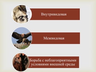 Внутривидовая

Межвидовая

Борьба с неблагоприятными
условиями внешней среды

 