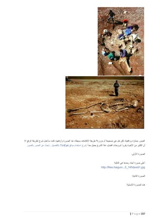 ‫الصور ممتازة وواقعية، لكن هل هي صحيحة أم مزورة؟ طريقة اإلكتشاف بسيطة، خذ الصورة وأرفعها، كنت سأعمل شرح لطريقة الرفع اال‬
‫أن الكثير من اإلخوة وفروا شروحات أفضل، هذا الشرح جميل جد اً :شرح استخدام موقع ‪ TinEye‬بالتفصيل ..ابحث عن الصور بالصور‬
‫الصورة األولى:‬
‫أعلى صورة أبعاد وجدها هي التالية:‬
‫‪http://files.haiguin...5_145david1.jpg‬‬
‫الصورة الثانية:‬
‫هذه الصورة األصلية:‬

‫781 ‪| P a g e‬‬

 