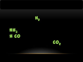 H2
NH3
H CO
CO2

 