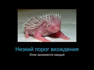 Низкий порог вхождения
Этим занимается каждый

 