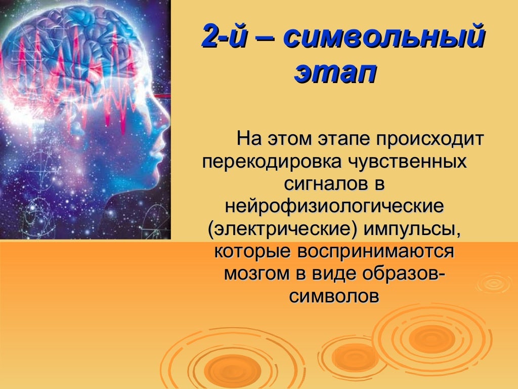 Ноосфера