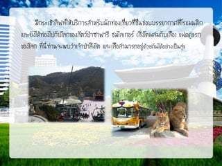 มีกระเช้าลิฟท์ให้บริการสาหรับนักท่องเที่ยวที่ช่นชอบบรรยากาศที่โรแมนติก
ื
และยังได้ท่องไปกับโลกของสัตว์ป่าซาฟารี ชมไลเกอร์ (สิงโตผสมกับเสือ) แฝดคู่แรก
ของโลก ที่นี่ท่านจะพบว่าเจ้าป่าสิงโต และเสือสามารถอยู่ด้วยกันได้อย่างเป็นสุข

 