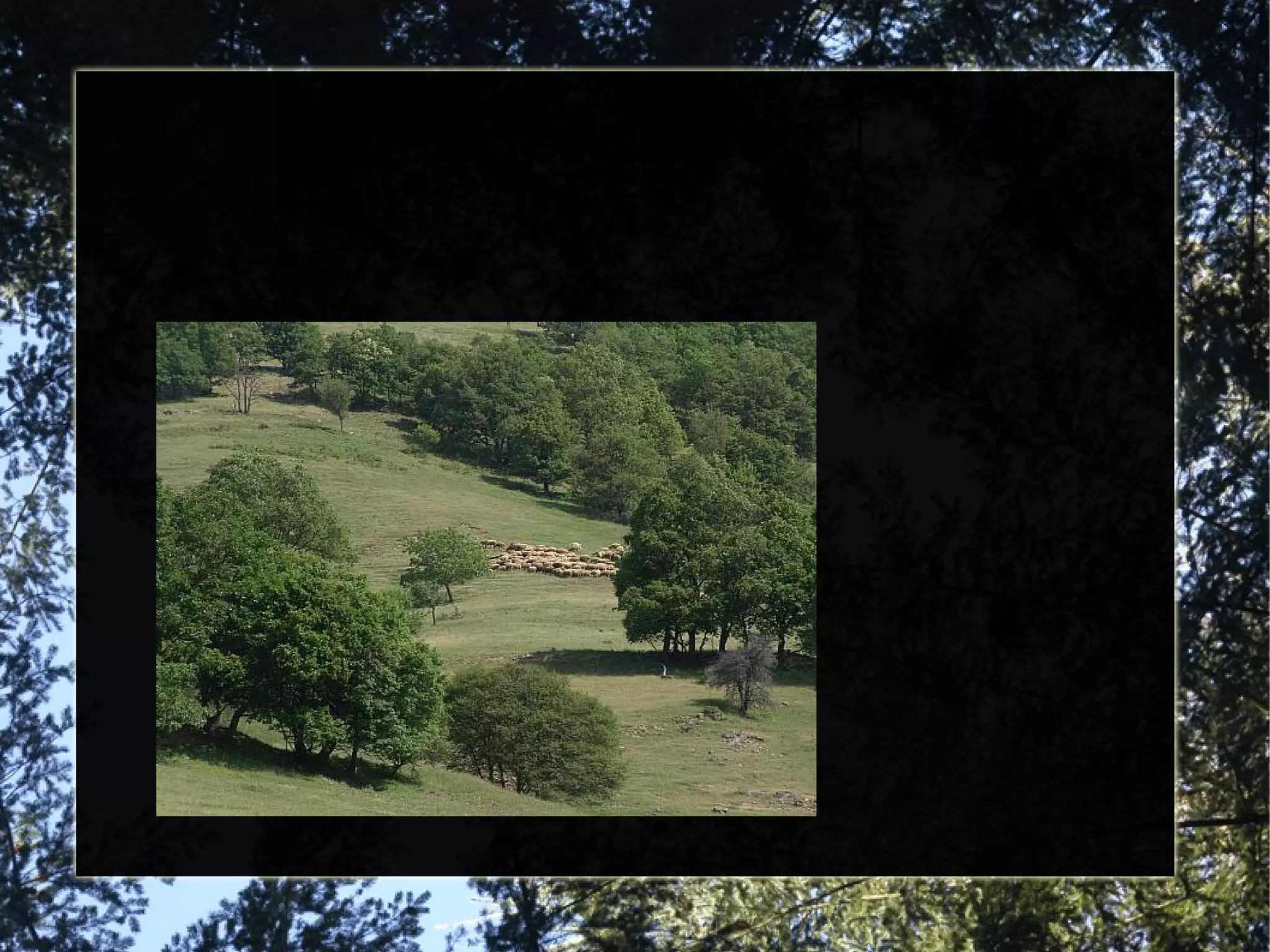 Βαρνούντας

 