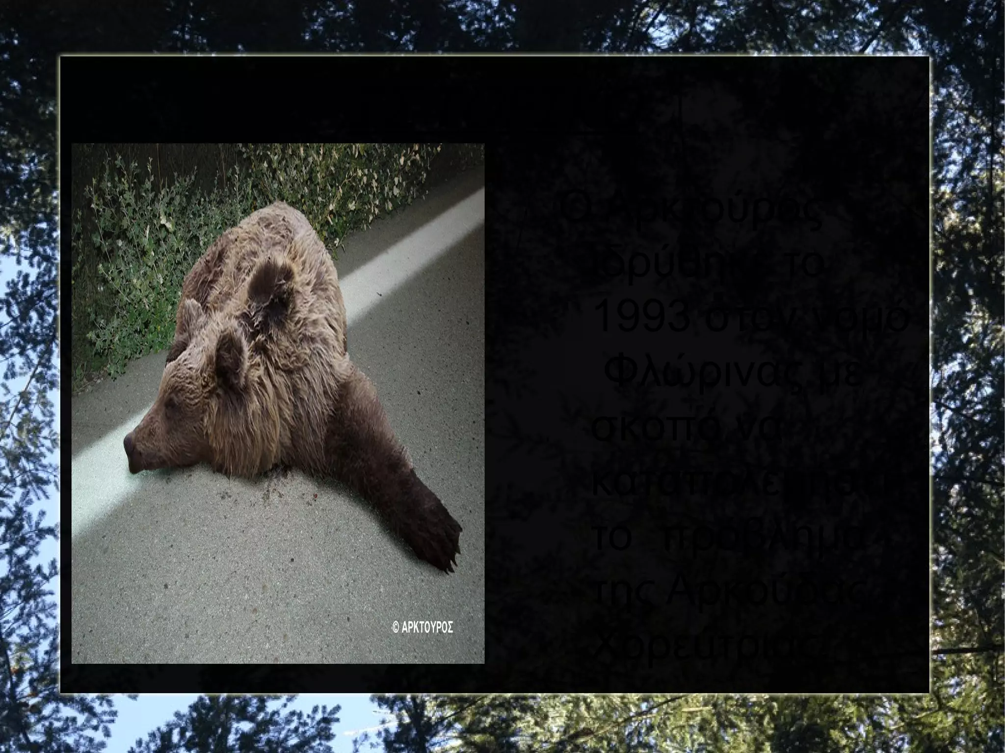 ΙΣΤΟΡΙΚΟ
Ο Αρκτούρος
ιδρύθηκε το
1993 στον νομό
Φλώρινας με
σκοπό να
καταπολεμήσει
το πρόβλημα
της Αρκούδας Χορεύτριας.

 